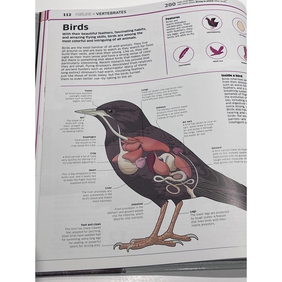 Knowledge Encyclopedia Explore Discover and Learn! Kids Encyclopedia PreOwned - Picture 6 of 9